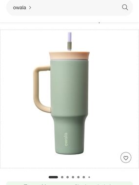 Owala Cup